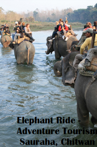 At Chitwan Elephant ride.