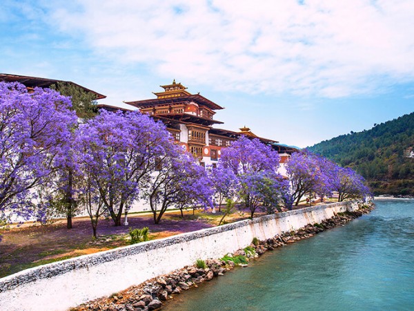 Bhutan Tour for 8 days| One of the leading travel agency in nepal | Typical Nepal Travel.