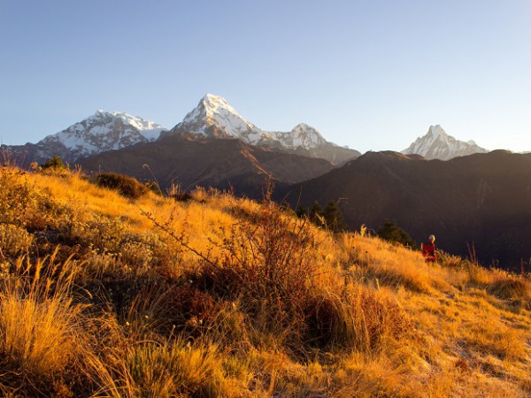Annapurna Poonhill Trek-Poonhill Circuit Cheap Cost | Typical Nepal Travels.