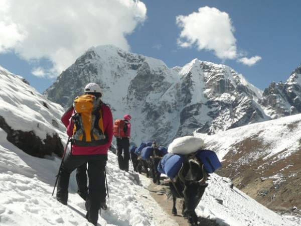 Short Everest Trek(10 night-11 days)