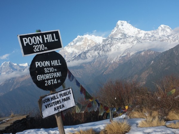 Short Poonhill trek 08 days | Trekking Packages | Short Trekking Packages | Typical Nepal Travels.